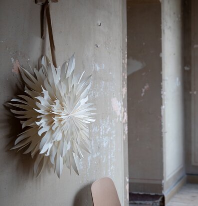 Bild av stilren julstjärna mot rustik bakgrund