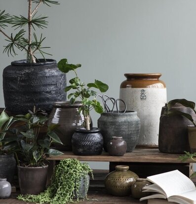 Bild av harmonisk samling krukor, vaser och växter