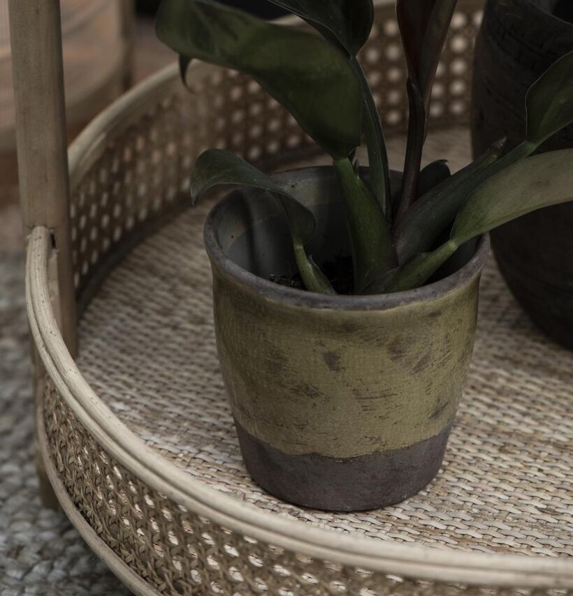 Bild av elegant sidobord med rotting och växt