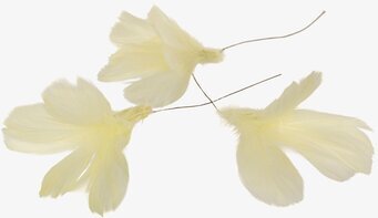 Foto av ljusgula fjäderdekorationer för kreativt bruk