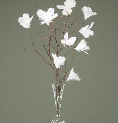 Bild av eleganta vita fjäderblommor i glasvas