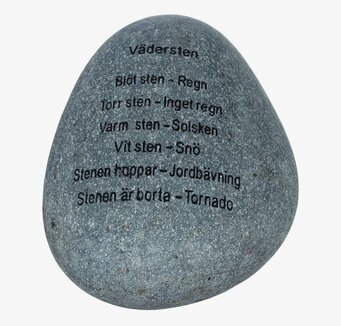 Foto av elegant och humoristisk vädersten i trädgård