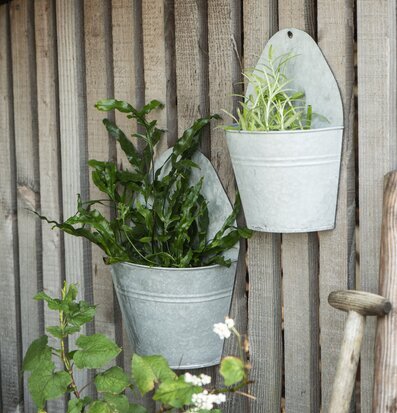 Bild av väggkrukor i zink med grönska och träpanel