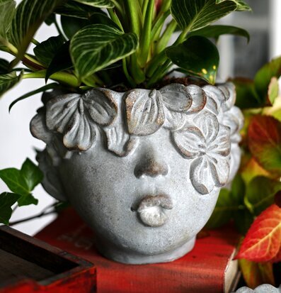 Foto av unik kruka med ansikte och frodig växt