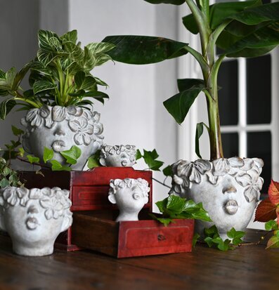 Bild av konstnärliga växtkrukor i harmonisk miljö