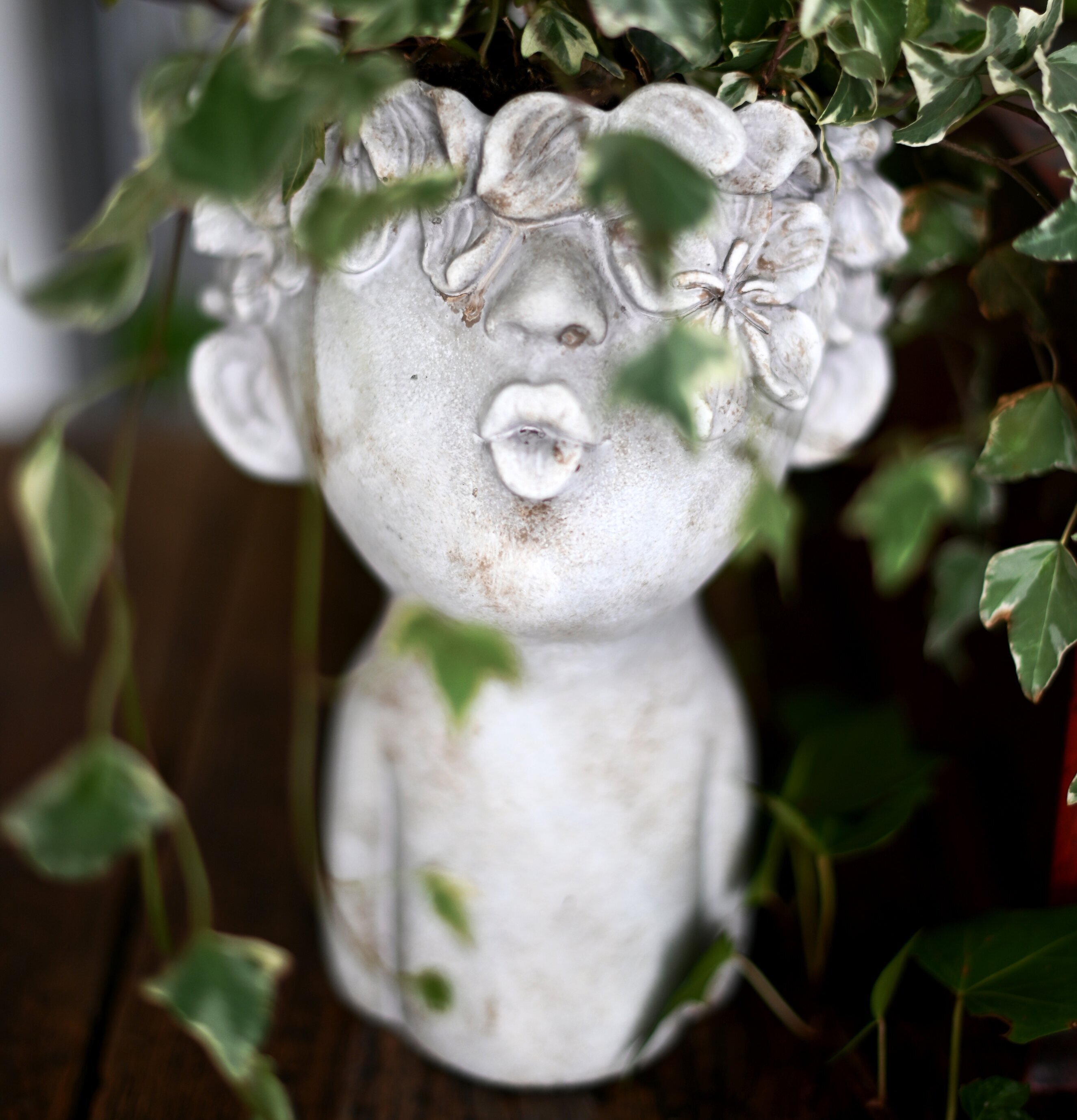 Kruka Adam Small från Miljögården med frodig växt