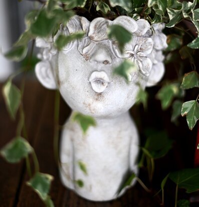 Bild av unik kruka med ansiktsdesign och frodig växt