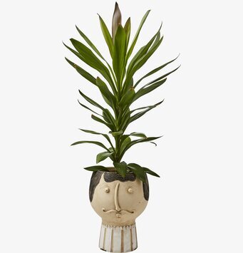 Bild av unik dekorativ kruka med konstnärlig design