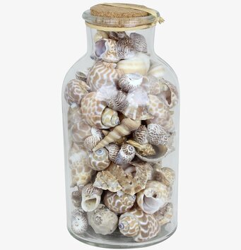Bild av glasburk fylld med snäckor och korklock