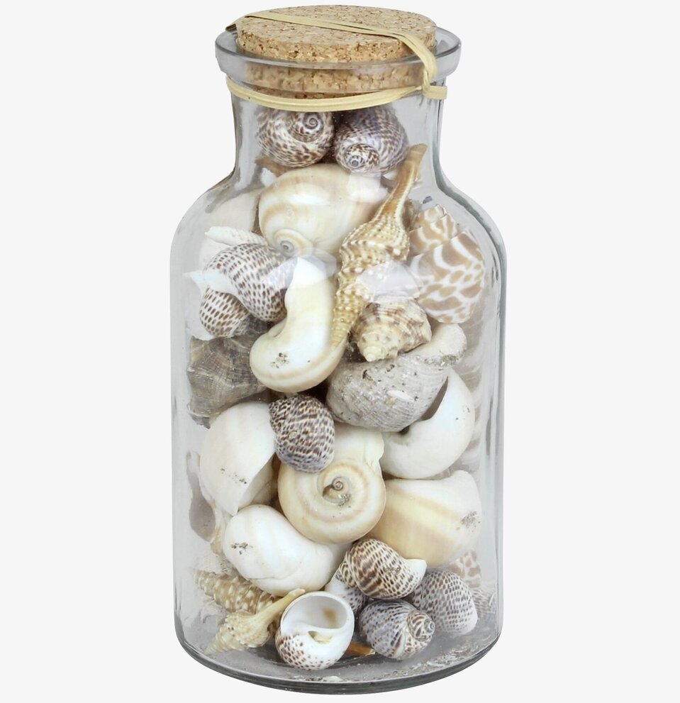 Foto av dekorativ glasburk fylld med snäckor