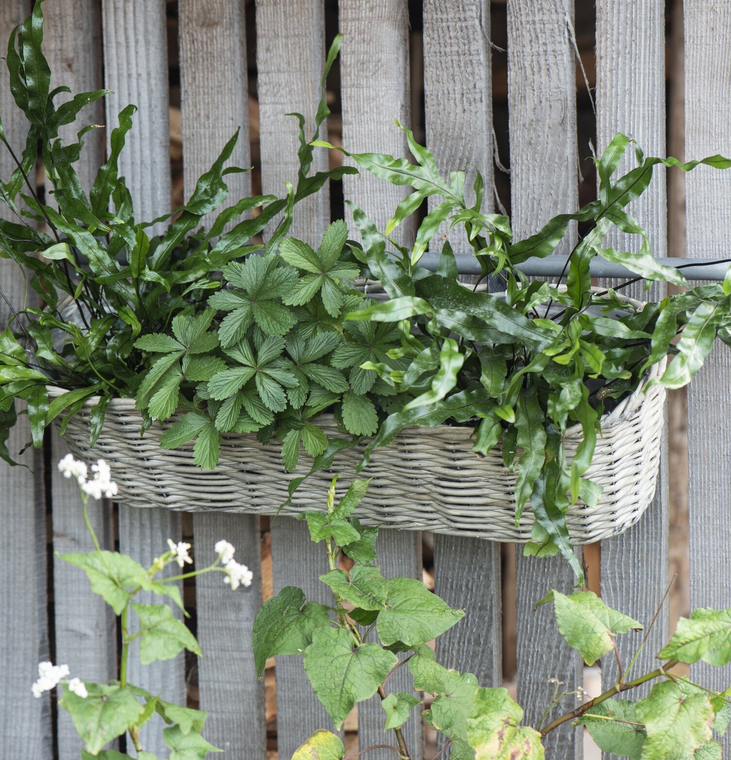 Foto av blomlåda i trästaket med grönska och blommor