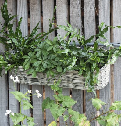 Foto av blomlåda i trästaket med grönska och blommor