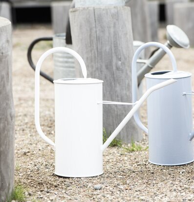 Foto av kannor i rustik utomhusmiljö med stubbar