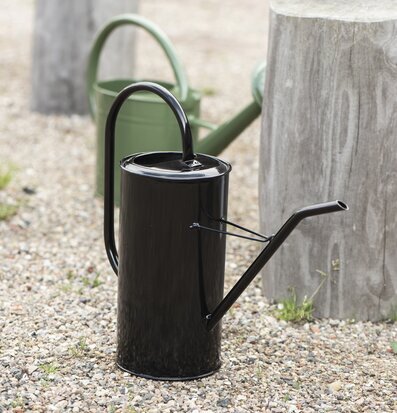 Foto av stilrena vattenkannor i naturlig miljö