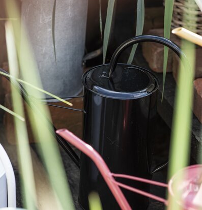 Bild av stilren och funktionell vattenkanna i trädgård