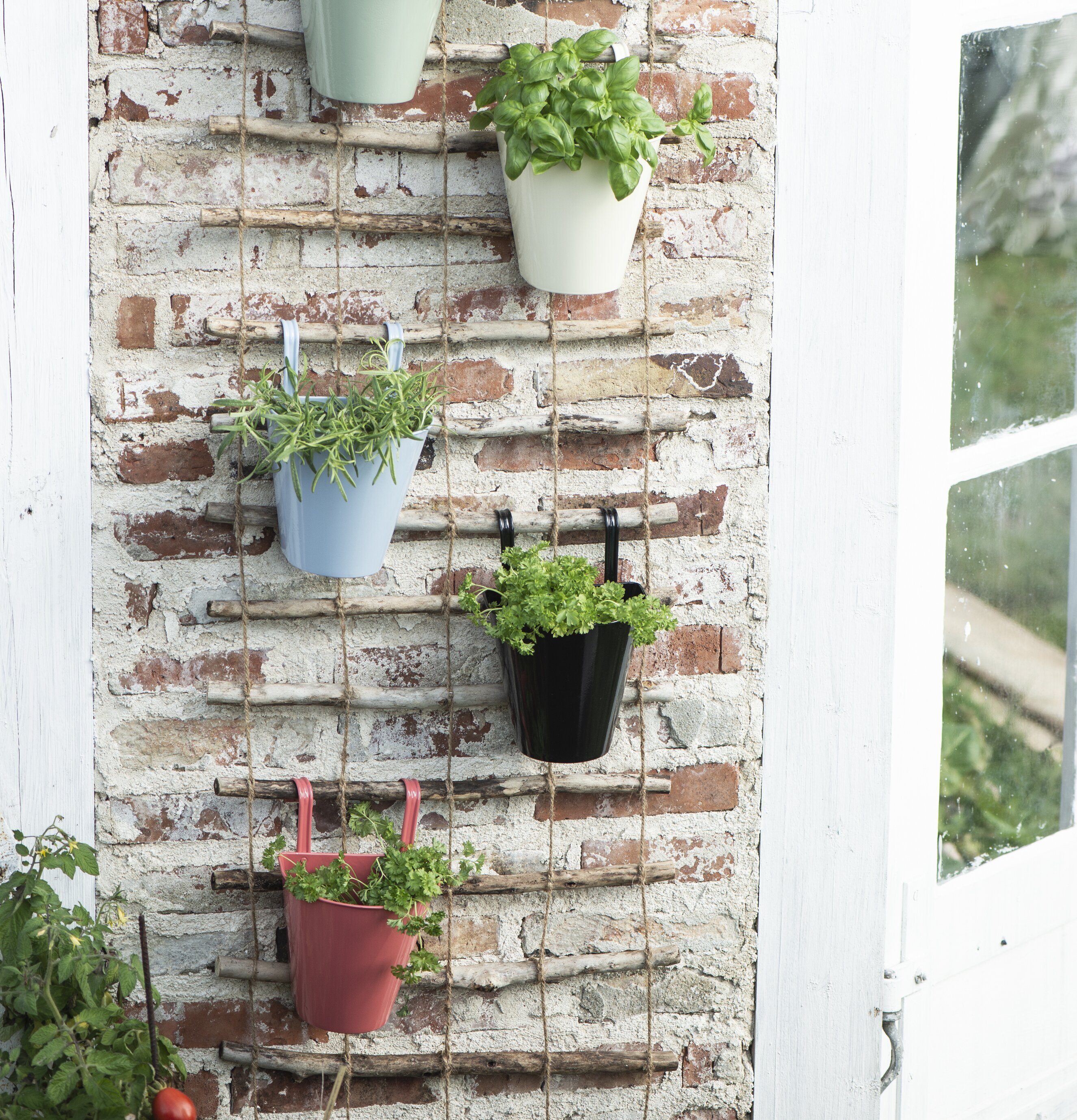 Bild av charmig installation med väggkrukor och växter