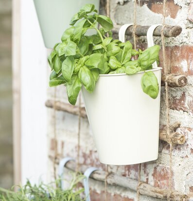 Bild av naturnära inredning med väggkruka och örter