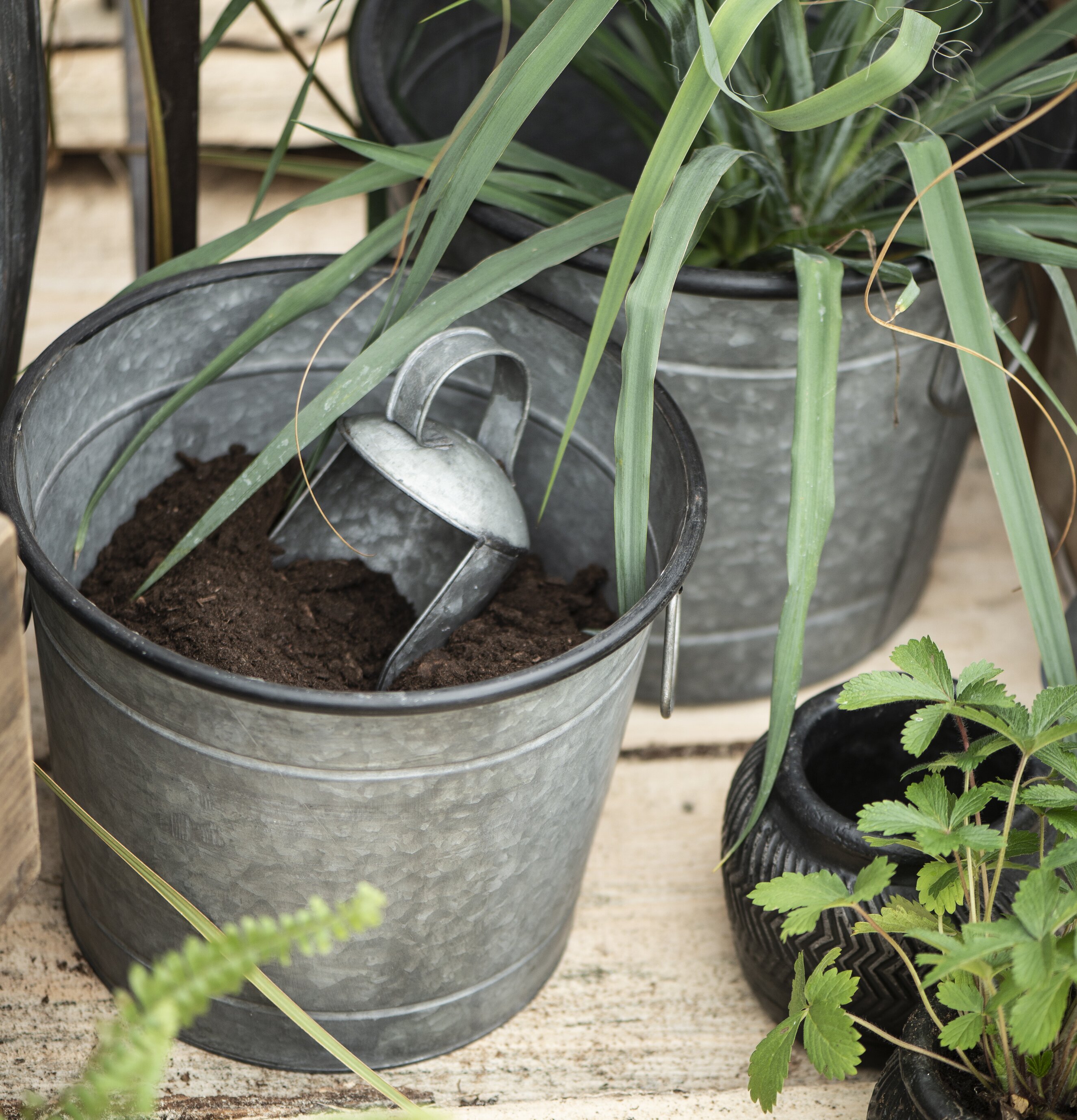 Skopa Zink från IB Laursen i en hink med jord i trädgården