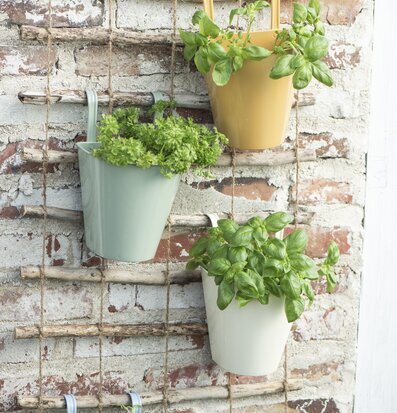 Bild av väggkrukor som skapar en charmig heminredning