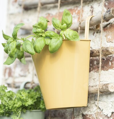 Bild av charmig installation med färgglada väggkrukor