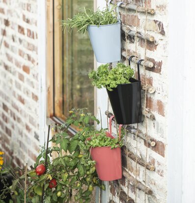 Bild av färgglada väggkrukor mot rustik tegelvägg