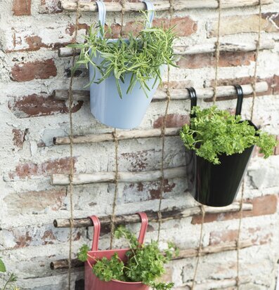 Foto av charmiga väggkrukor för vertikal odling