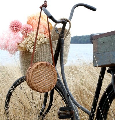 Bild av cykel i idyllisk naturmiljö med vintagekänsla