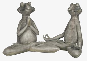 Bild av två grodor i yogapositioner för hem och trädgård