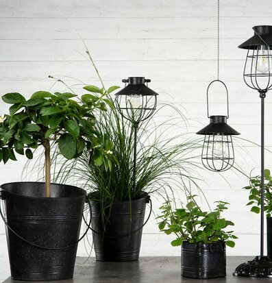 Bild av stilfull inredning med svarta detaljer