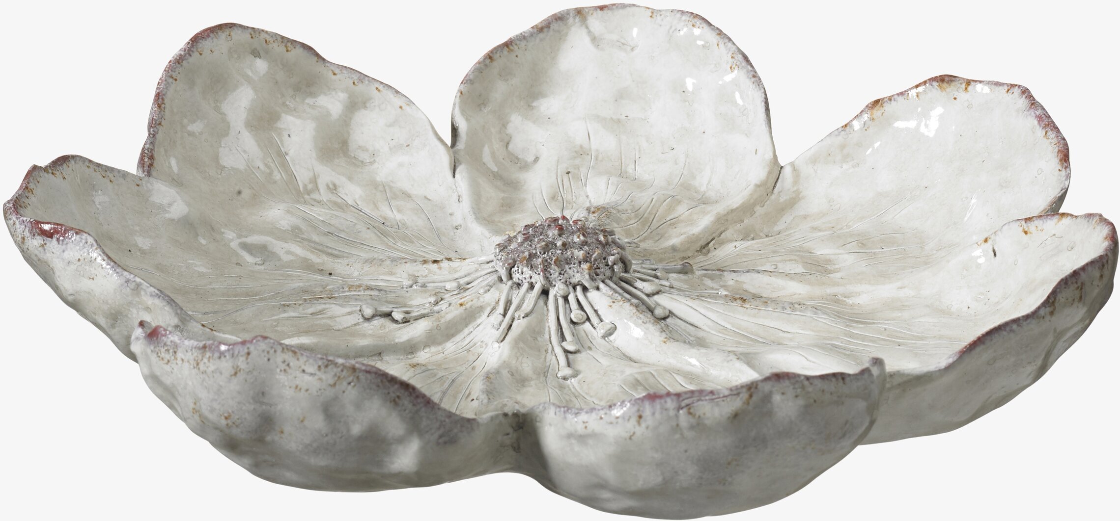 Foto av detaljrik och melerad vit trädgårdsblomma