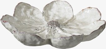 Foto av detaljrik och melerad vit trädgårdsblomma