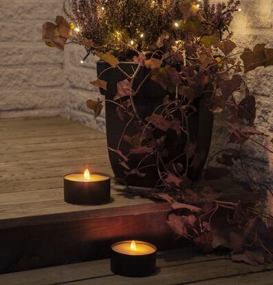 Bild av stämningsfull trappa med LED-ljus och växter