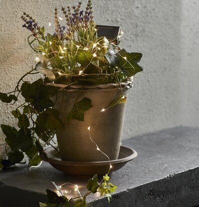 Bild av harmonisk kruka med murgröna och ljusslinga