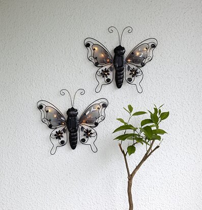 Bild av solcellsfjärilar och växt i harmonisk miljö