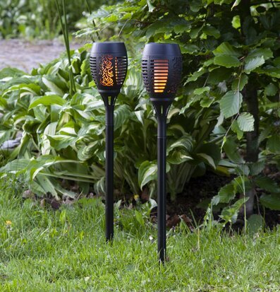 Bild av solcellsbelysning i harmonisk trädgårdsmiljö