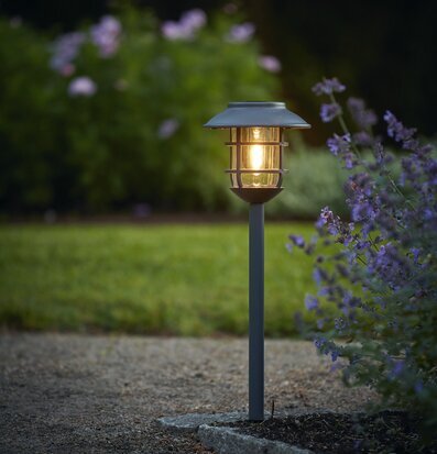 Bild av solcellsbelysning i harmonisk trädgårdsmiljö