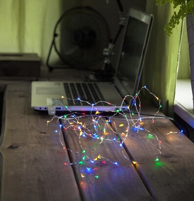 Bild av stämningsfull interiör med ljusslinga och växt