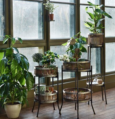 Bild av grönskande interiör med eleganta korgställningar