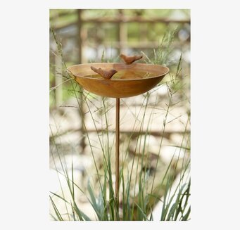 Bild av stilrent fågelbad i naturlig trädgårdsmiljö