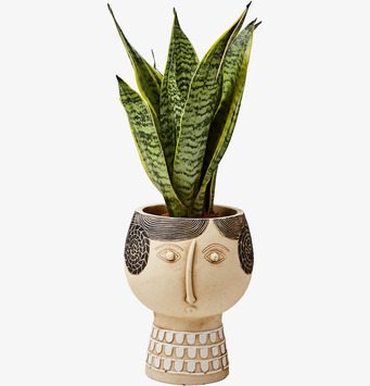 Bild av uttrycksfull kruka med skulpturalt ansikte