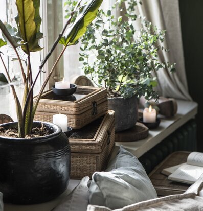 Foto av hemtrevlig fönsterkarm med stil och harmoni