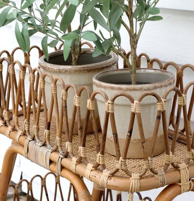 Foto av stilrent blomsterbord i rotting med växter