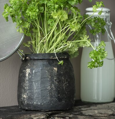 Bild av rustik stenkruka med frodiga gröna örter