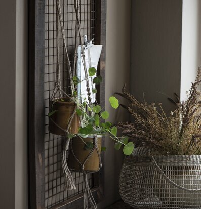 Bild av ampelhängare i naturlig och charmig miljö