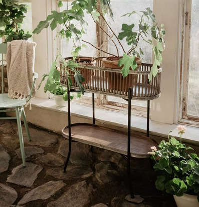 Bild av hemtrevlig inomhusmiljö med korgställning