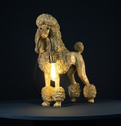 Bild av unik och kreativ lampa formad som pudel