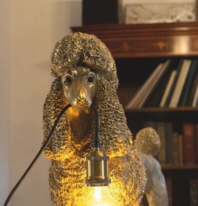 Bild av unik guldpudellampa som kombinerar konst och ljus