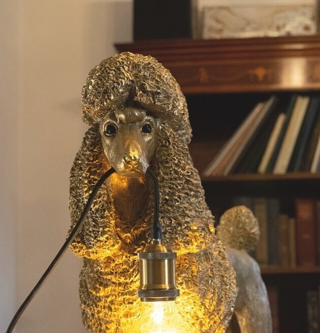 Lampa Pudel Elves Guld från Werner Voss på en bokhylla