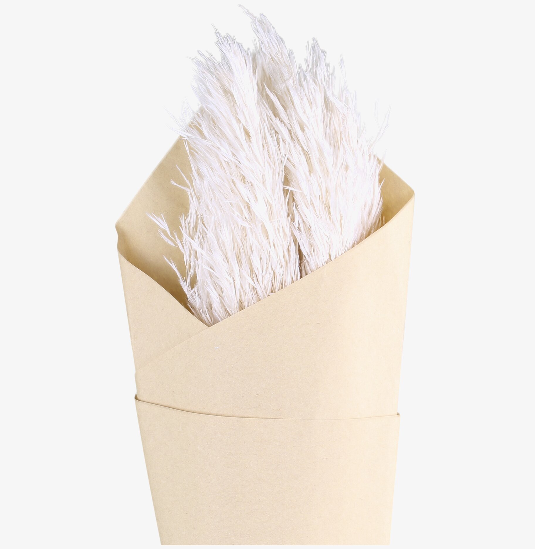 Bild av elegant och naturligt pampasgräs i inredning