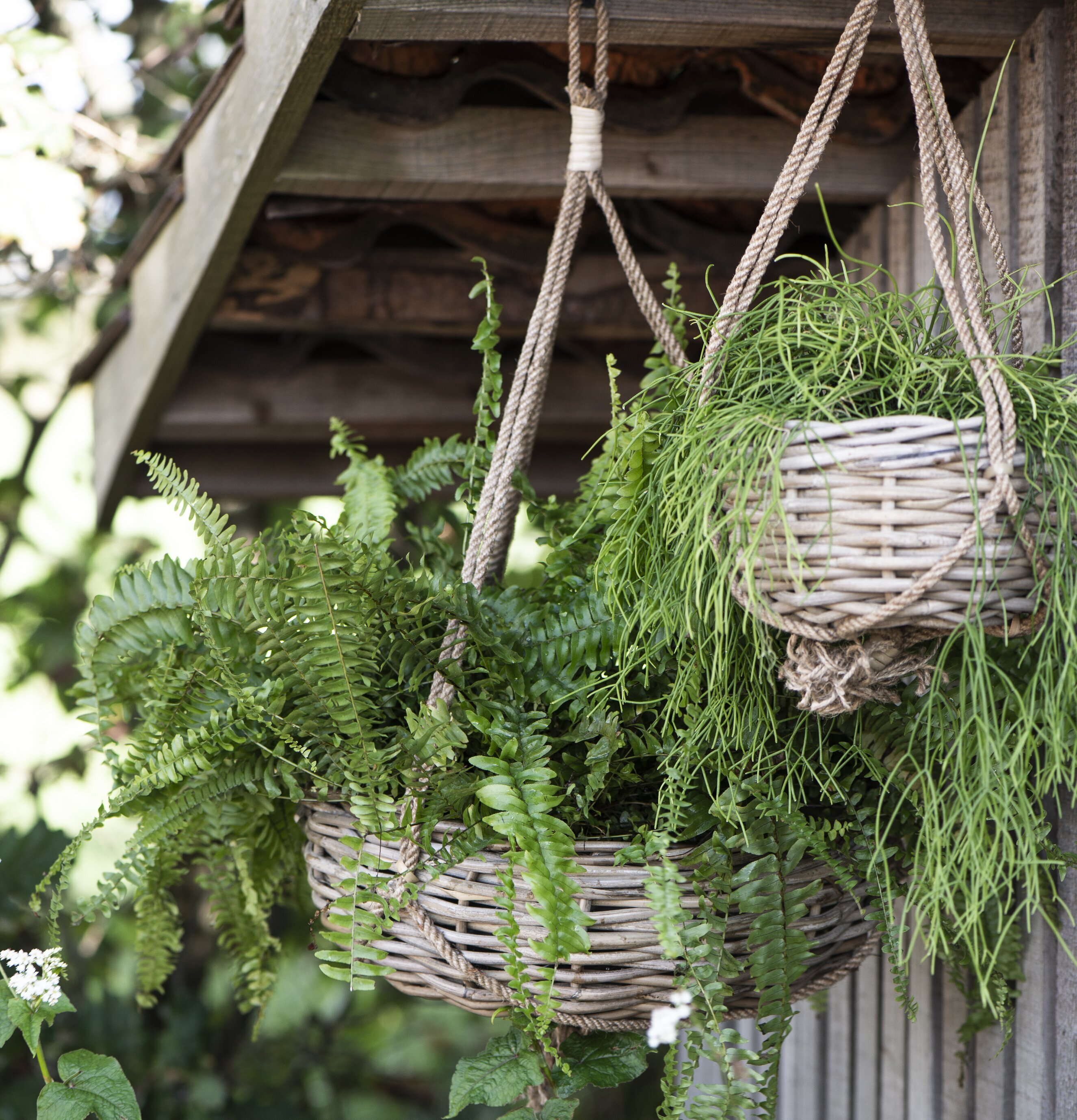 Hängande Korgampel Rotting/Jute från IB Laursen i trädgård
